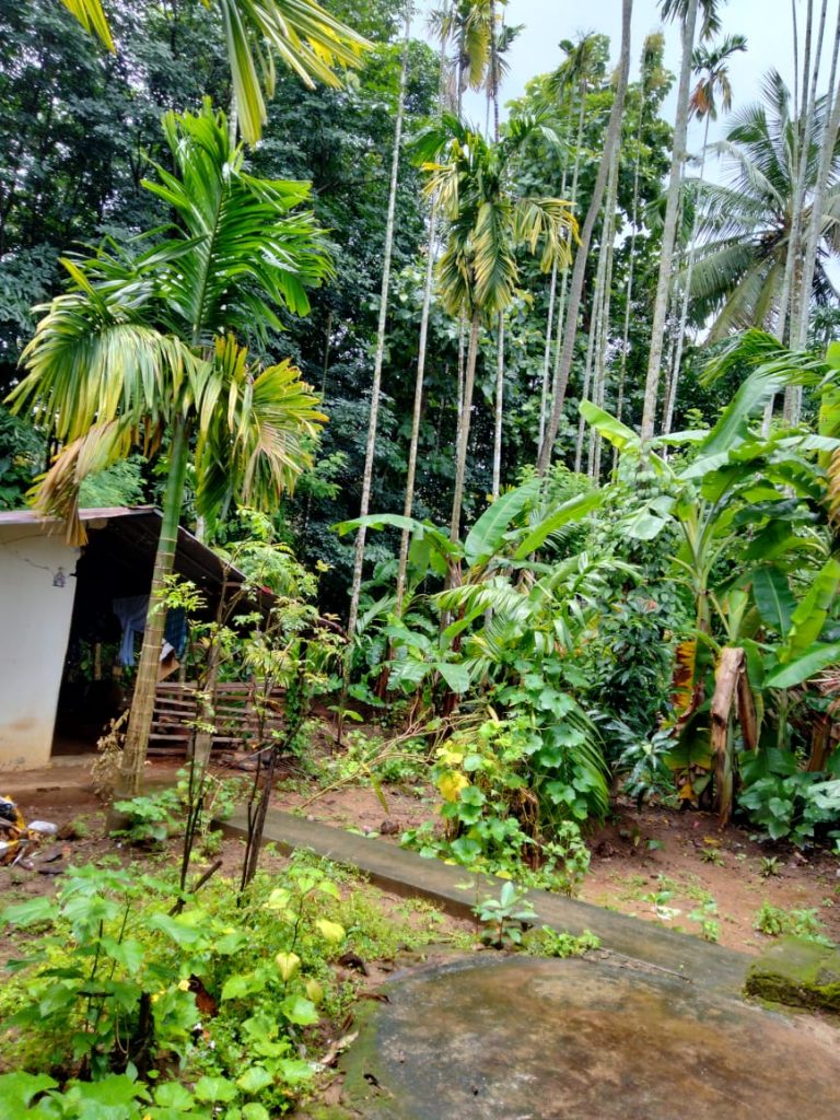 homekey_properties_pleasant_villa_nenmara_14