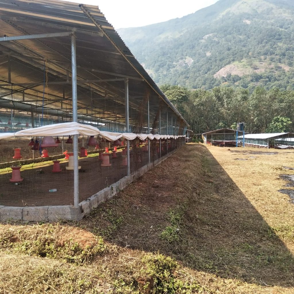 homekey_properties_poultry_farm_hatchery_unit_mundur